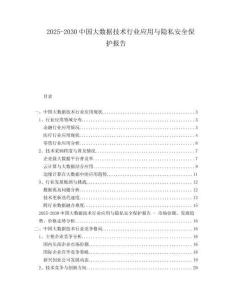 2025-2030中國大數(shù)據(jù)技術(shù)行業(yè)應(yīng)用與隱私安全保護報告