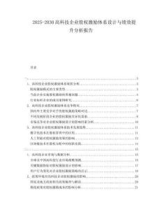 2025-2030高科技企業(yè)股權(quán)激勵(lì)體系設(shè)計(jì)與績(jī)效提升分析報(bào)告