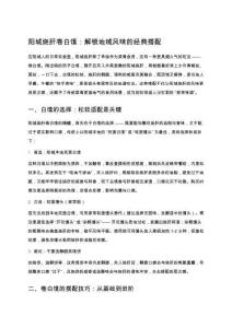 陽城燒肝卷白饃：解鎖地域風味的經典搭配