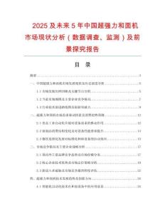 2025及未來5年中國超強力和面機市場現(xiàn)狀分析（數(shù)據(jù)調(diào)查、監(jiān)測）及前景探究報告