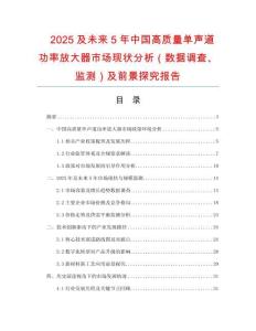2025及未來5年中國(guó)高質(zhì)量單聲道功率放大器市場(chǎng)現(xiàn)狀分析（數(shù)據(jù)調(diào)查、監(jiān)測(cè)）及前景探究報(bào)告