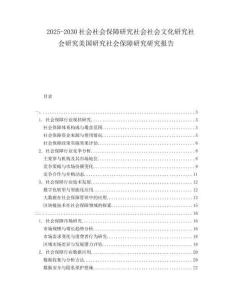 2025-2030社會社會保障研究社會社會文化研究社會研究美國研究社會保障研究研究報告