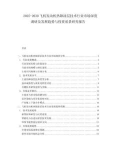 2025-2030飛機發(fā)動機熱障涂層技術(shù)行業(yè)市場深度調(diào)研及發(fā)展趨勢與投資前景研究報告