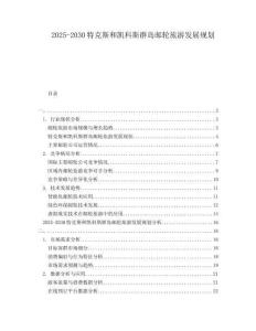 2025-2030特克斯和凱科斯群島郵輪旅游發(fā)展規(guī)劃