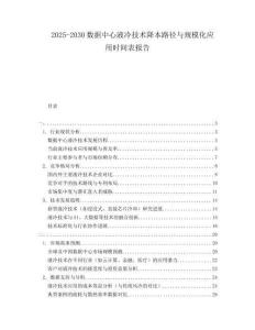 2025-2030數(shù)據(jù)中心液冷技術(shù)降本路徑與規(guī)?；瘧?yīng)用時(shí)間表報(bào)告