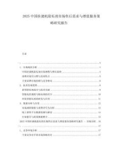 2025中國(guó)掛燙機(jī)除垢劑市場(chǎng)售后需求與增值服務(wù)策略研究報(bào)告