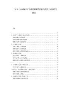 2025-2030數(shù)字廣告投放效果評估與優(yōu)化方案研究報告