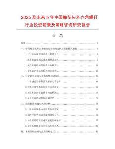2025及未來5年中國梅花頭外六角螺釘行業(yè)投資前景及策略咨詢研究報告