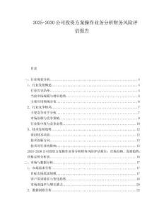 2025-2030公司投資方案操作業(yè)務(wù)分析財(cái)務(wù)風(fēng)險(xiǎn)評(píng)估報(bào)告