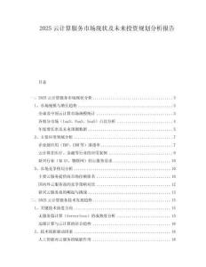 2025云計(jì)算服務(wù)市場(chǎng)現(xiàn)狀及未來投資規(guī)劃分析報(bào)告