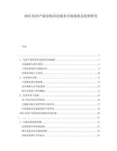 2025知識產權侵權訴訟服務市場現狀及趨勢研究