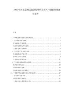 2025中國航空測試儀器行業(yè)研發(fā)投入與創(chuàng)新績效評估報(bào)告