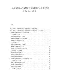 2025-2030山西煤炭清潔高效利用產(chǎn)業(yè)供需形勢(shì)分析及企業(yè)轉(zhuǎn)型投資