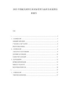 2025中國耐火材料行業(yè)對標管理與標桿企業(yè)案例分析報告