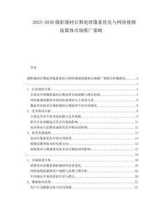 2025-2030攝影器材后期處理像素優(yōu)化與網(wǎng)絡(luò)視頻流媒體市場(chǎng)推廣策略