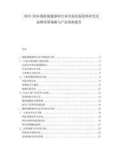 2025-2030攝影攝像器材行業(yè)市場發(fā)展趨勢研究及品牌營銷策略與產(chǎn)品創(chuàng)新報告