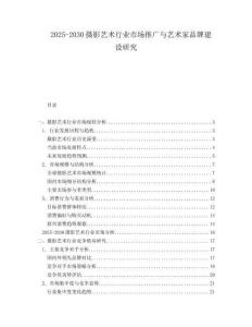 2025-2030攝影藝術(shù)行業(yè)市場推廣與藝術(shù)家品牌建設(shè)研究