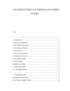 2025智慧燈桿系統(tǒng)行業(yè)多功能集成與運(yùn)營(yíng)分成模式研究報(bào)告