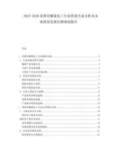 2025-2030菲律賓椰果加工行業(yè)供需關(guān)系分析及未來(lái)投資發(fā)展長(zhǎng)期規(guī)劃報(bào)告