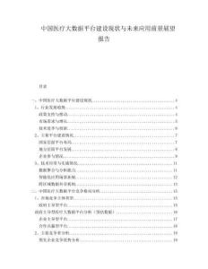 中國醫(yī)療大數(shù)據(jù)平臺建設(shè)現(xiàn)狀與未來應(yīng)用前景展望報告