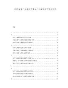 2025醫用氣體系統安全運行與應急管理分析報告