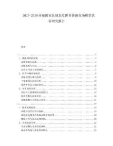 2025-2030體操國家隊規(guī)劃及世界體操市場現狀供需研究報告