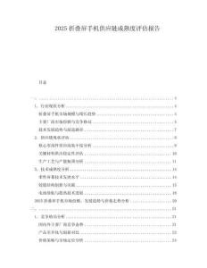2025折叠屏手机供应链成熟度评估报告