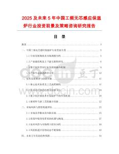 2025及未來5年中國工頻無芯感應保溫爐行業(yè)投資前景及策略咨詢研究報告
