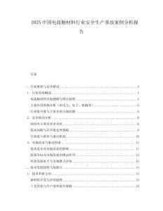 2025中國電接觸材料行業安全生產事故案例分析報告