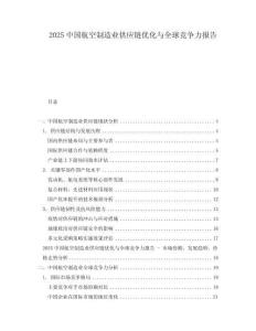2025中國航空制造業(yè)供應(yīng)鏈優(yōu)化與全球競爭力報告