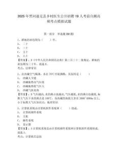 2025年黑河遜克縣鄉(xiāng)村醫(yī)生公開招聘19人考前自測高頻考點(diǎn)模擬試題及答案詳解（典優(yōu)）
