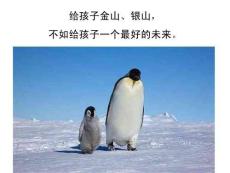 初二月考考試家長會課件