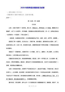 2026年高考語文模擬練習試卷（含答案）