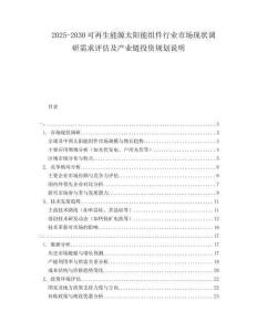 2025-2030可再生能源太陽能組件行業(yè)市場現(xiàn)狀調(diào)研需求評估及產(chǎn)業(yè)鏈投資規(guī)劃說明