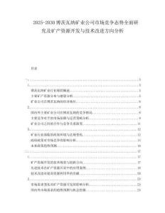 2025-2030博茨瓦納礦業(yè)公司市場競爭態(tài)勢全面研究及礦產(chǎn)資源開發(fā)與技術(shù)改進(jìn)方向分析