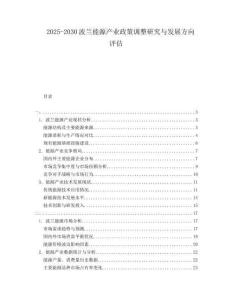 2025-2030波蘭能源產(chǎn)業(yè)政策調(diào)整研究與發(fā)展方向評估