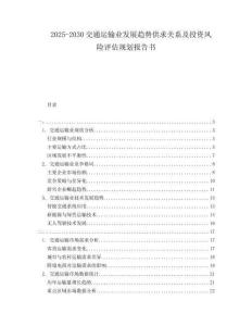 2025-2030交通運輸業(yè)發(fā)展趨勢供求關(guān)系及投資風(fēng)險評估規(guī)劃報告書