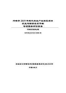 2019 農業園項目專項債評價-24頁(1)