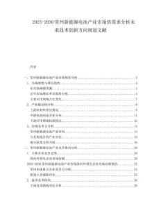 2025-2030常州新能源電池產(chǎn)業(yè)市場供需求分析未來技術(shù)創(chuàng)新方向規(guī)劃文獻