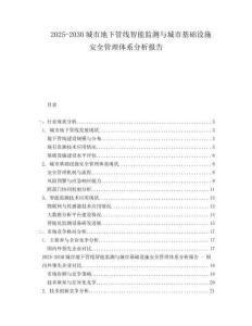2025-2030城市地下管線智能監測與城市基礎設施安全管理體系分析報告