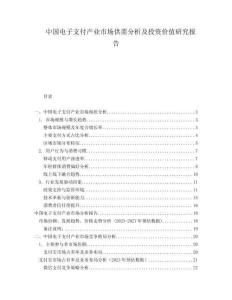 中國電子支付產(chǎn)業(yè)市場供需分析及投資價值研究報告