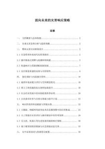 面向未來的災(zāi)害響應(yīng)策略