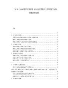 2025-2030博茨瓦納馬卡迪克瓦國家公園保護(hù)與旅游協(xié)調(diào)發(fā)展