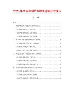 2025年中國機刺防具數據監測研究報告