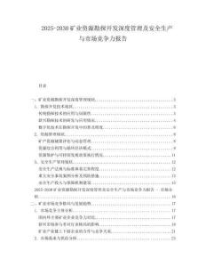 2025-2030礦業(yè)資源勘探開發(fā)深度管理及安全生產(chǎn)與市場競爭力報告