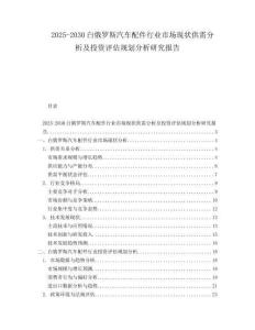 2025-2030白俄羅斯汽車配件行業(yè)市場現(xiàn)狀供需分析及投資評估規(guī)劃分析研究報(bào)告