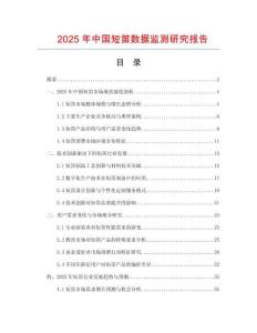 2025年中國短笛數(shù)據(jù)監(jiān)測研究報告