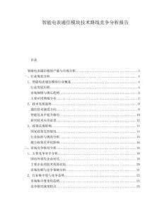 智能電表通信模塊技術(shù)路線競(jìng)爭分析報(bào)告