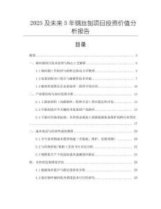 2025及未來(lái)5年鋼絲刨項(xiàng)目投資價(jià)值分析報(bào)告