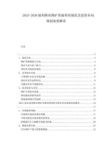 2025-2030玻利維亞鋰礦資源利用現(xiàn)狀及投資布局規(guī)劃深度解讀